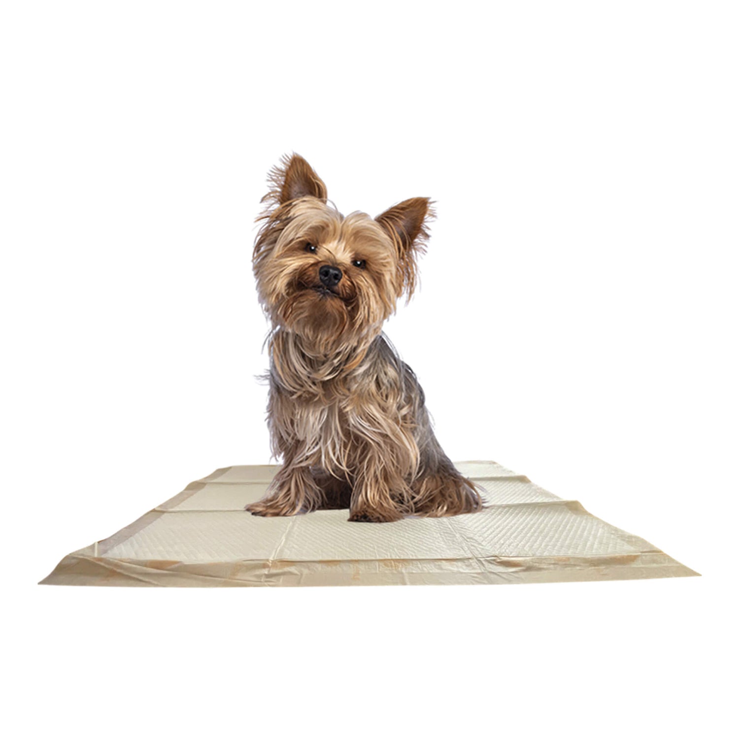 Off-white puppy training pad with quilted texture, sized for dogs on a flat surface
